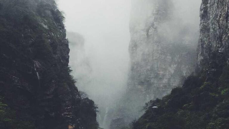 How To Maximize Points In 11Xplay Refer And Earn Program?